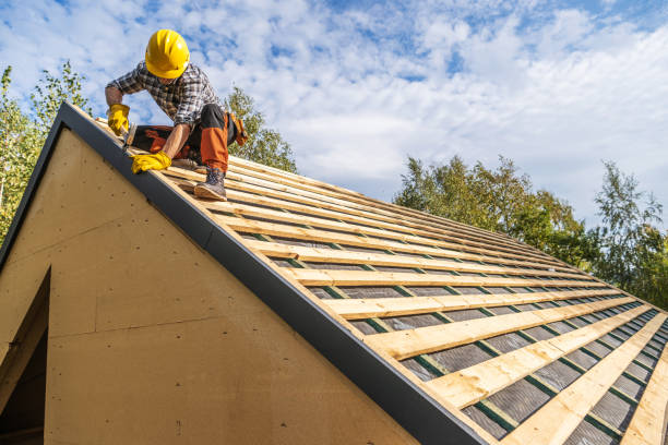 Best Metal Roofing Contractor  in Oral City, FL